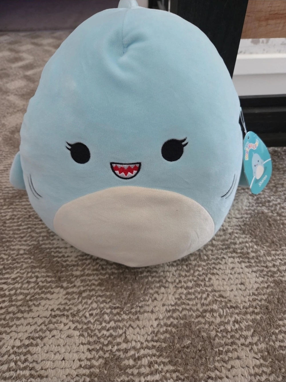 Squishmallows Light Blue Shark Plush with Cream Belly